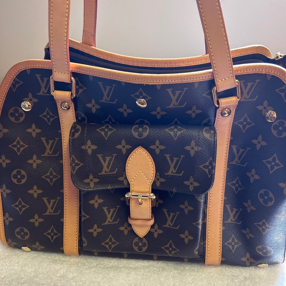 Louis Vuitton Baxter dog carrier